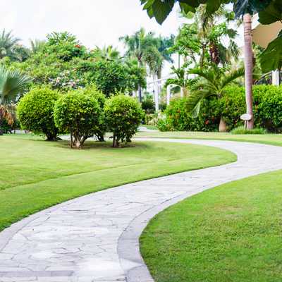 Anthony's Landscaping LLC