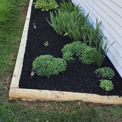 Anthony's Landscaping LLC
