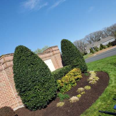 Anthony's Landscaping LLC