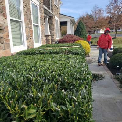 Anthony's Landscaping LLC