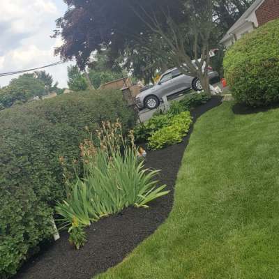 Anthony's Landscaping LLC