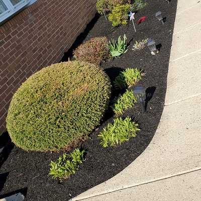Anthony's Landscaping LLC