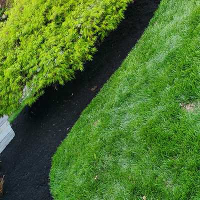 Anthony's Landscaping LLC