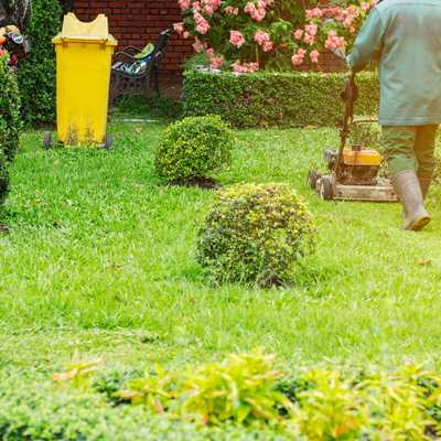 Anthony's Landscaping LLC
