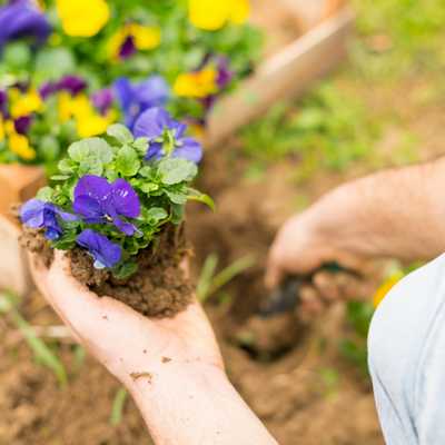 Anthony's Landscaping LLC