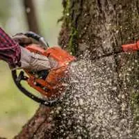 Anthony's Landscaping LLC