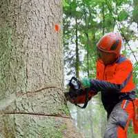 Anthony's Landscaping LLC