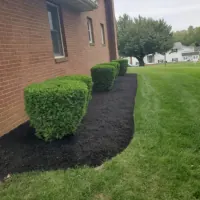 Anthony's Landscaping LLC