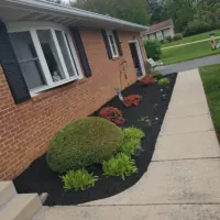 Anthony's Landscaping LLC