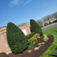 Anthony's Landscaping LLC