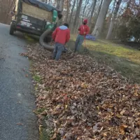 Anthony's Landscaping LLC