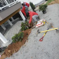 Anthony's Landscaping LLC