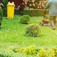 Anthony's Landscaping LLC