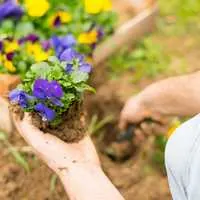 Anthony's Landscaping LLC