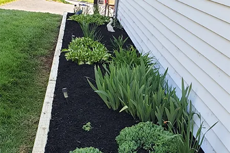 Landscaping Services